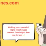 Good Night Message for Son-in-Law